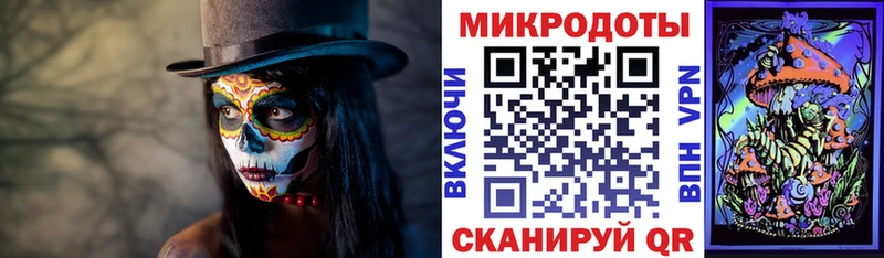 Купить закладки  Кунгур  Псилоцибиновые грибы Psilocybe 